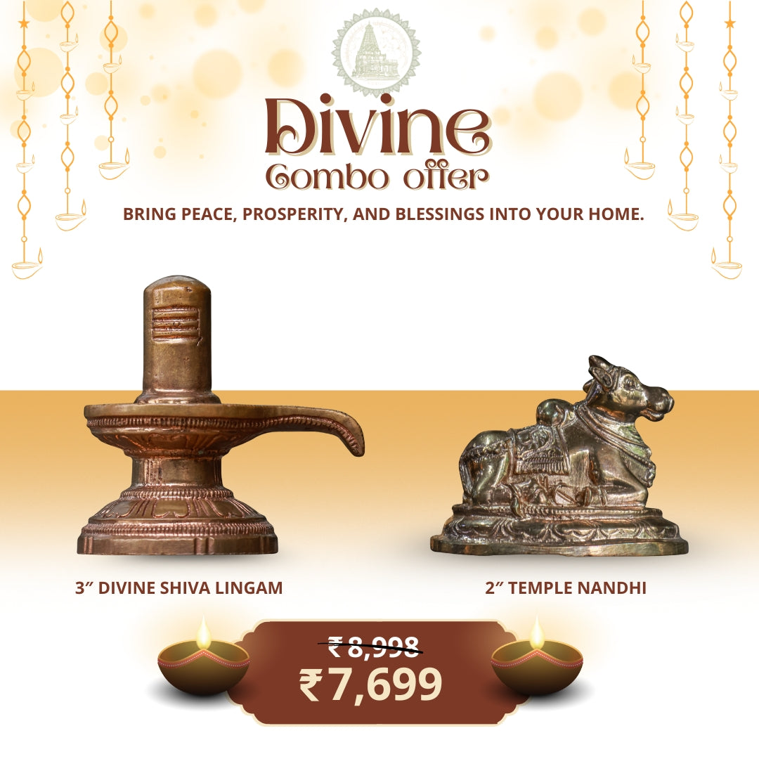 Shiva Lingam with Gatekeeper – Sacred Pair | Divine Combo Offer