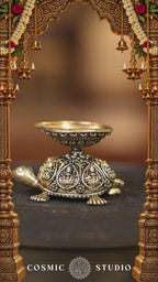 Tortoise Agal Lamp Pair | Super Fine Brass | Polished Finish — video