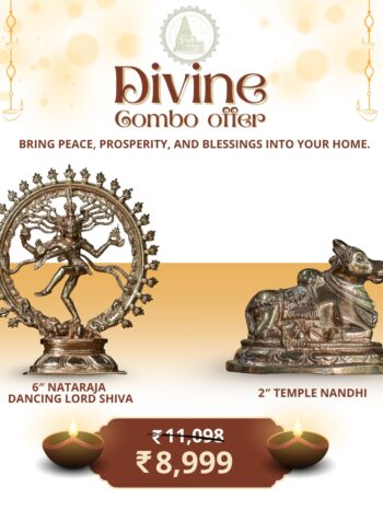 Nataraja & Nandi – Divine Companions | Divine Combo Offer